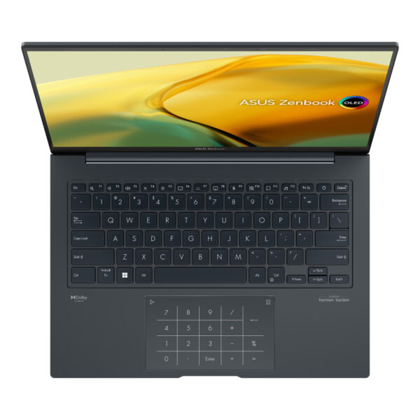 Asus ZENBOOK Q420VA-EVO.I7512