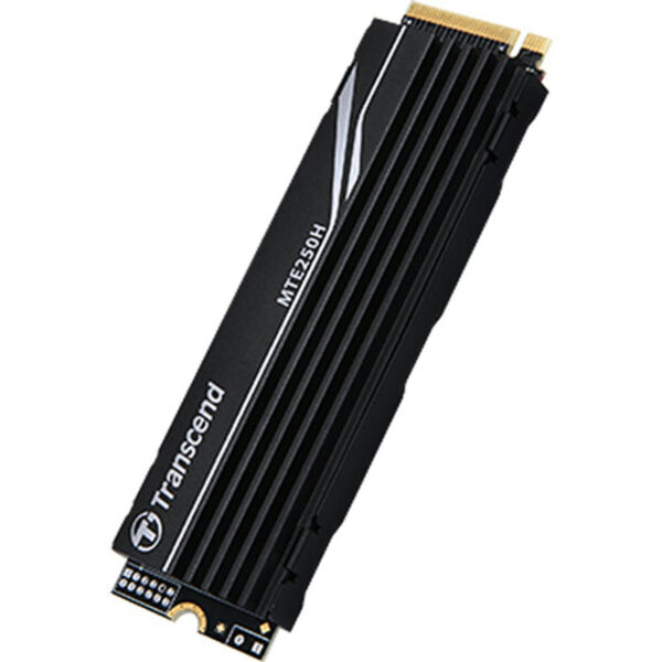 SSD M.2 2280 PCIe NVMe Gen4 1TB MTE250H